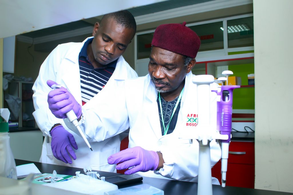Two scientists working in a Lab